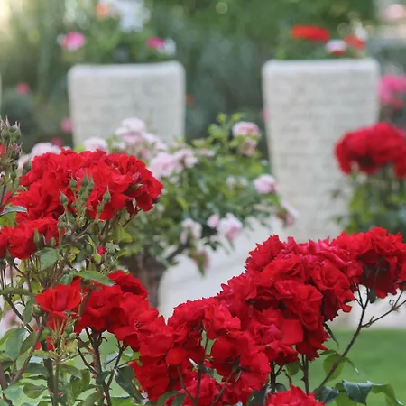 リゾート Barcelo Royal 5*