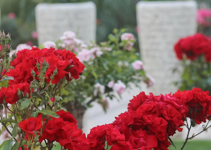 Rezort Barcelo Royal 5*