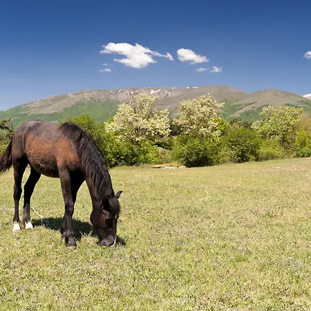 Barcelo Royal サニービーチ